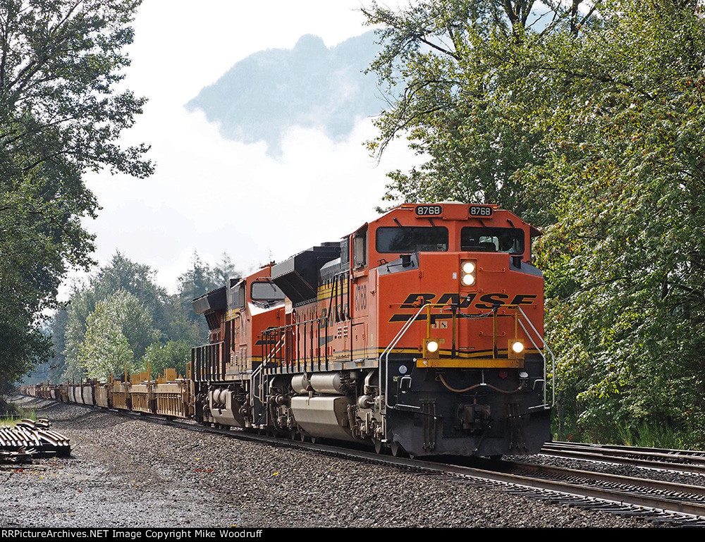 BNSF 8768